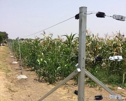 Solar Fencing Systems